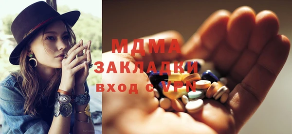 хмурый Алексин