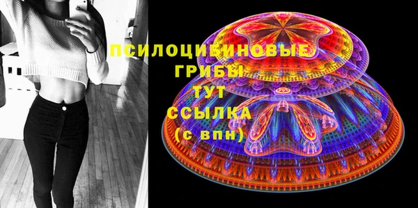 хмурый Алексин