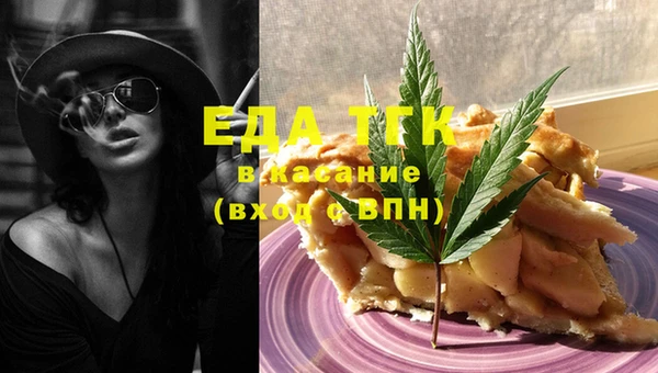 хмурый Алексин