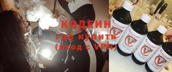 хмурый Алексин