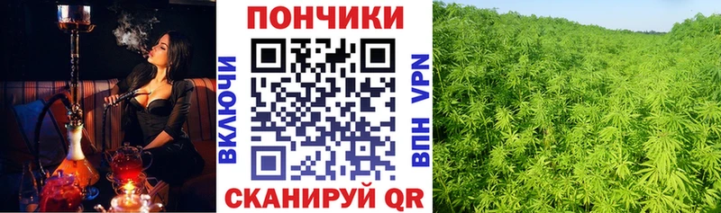 Бошки Шишки THC 21% Апшеронск